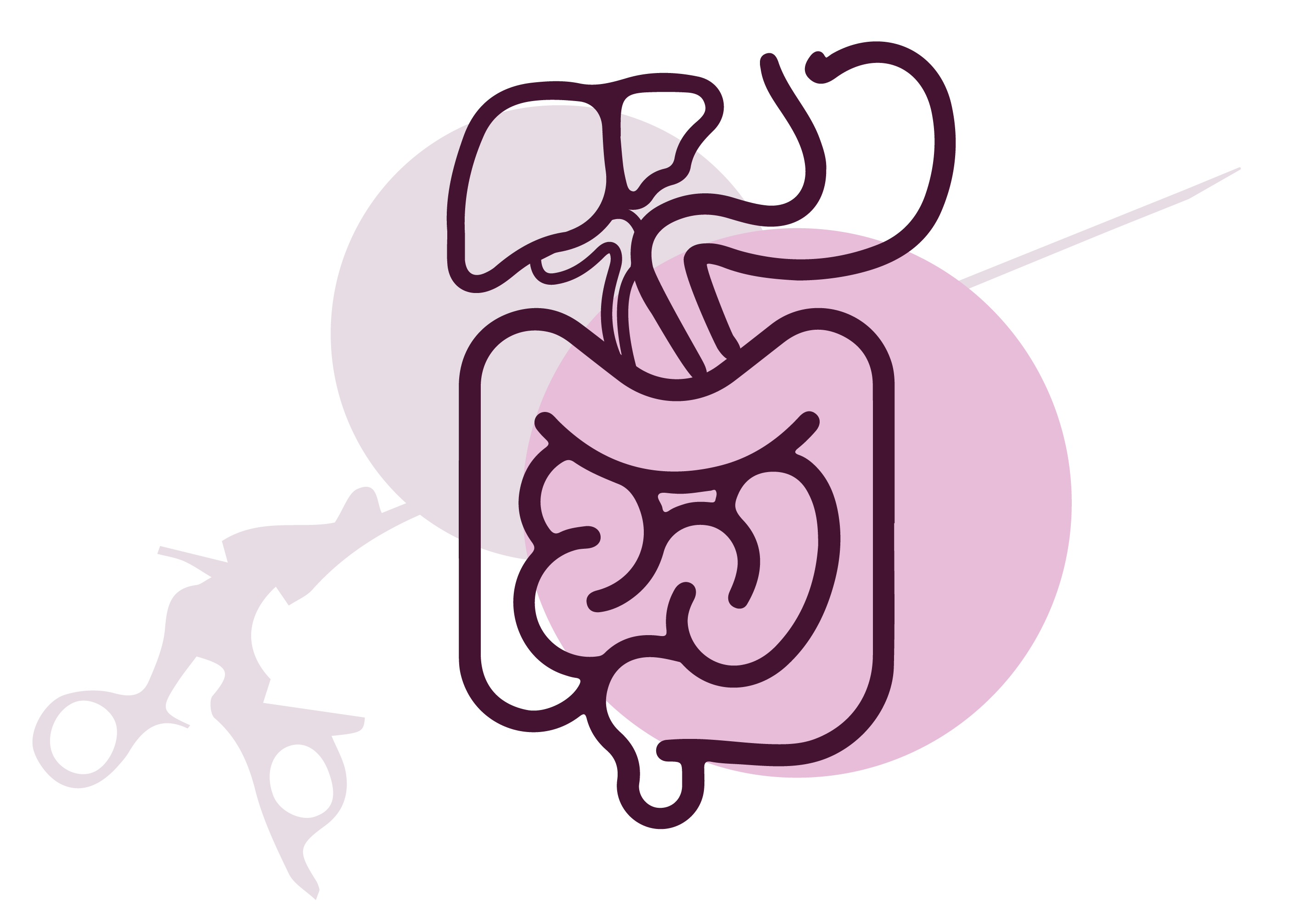 profil-neurofisiologo-clinico-en-cdmx